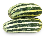 Green Horn Long Sweet Melon