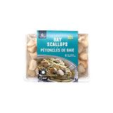 Clear Ocean Bay Scallops