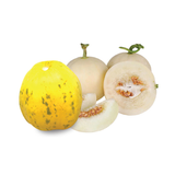 Canadian Yellow Melon