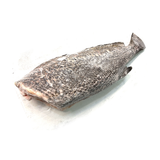 Frozen Black Grouper