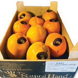 Kaki Persimmon by air(Box)