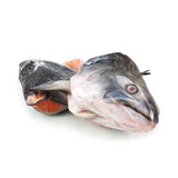 Fresh Salmon Head