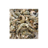 Frozen Tiger Shrimp