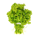 FRESH CURLY PARSLEY