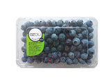 Jumbo Blueberries