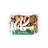 Organic Black Oyster Mushroom