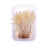 Organic Enoki Mushrooms