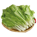 Bok Choy